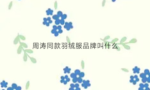 周涛同款羽绒服品牌叫什么