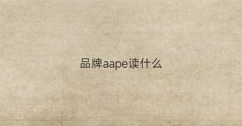 品牌aape读什么(aape是什么牌子衣服贵吗)