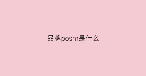 品牌posm是什么(posy什么品牌)