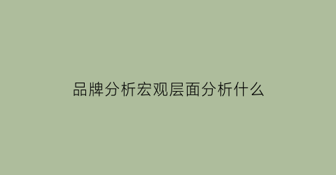 品牌分析宏观层面分析什么(品牌分析宏观层面分析什么时候提出)