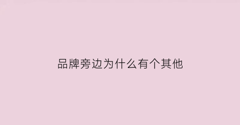 品牌旁边为什么有个其他(品牌logo为什么放在右下角)