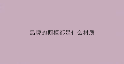 品牌的橱柜都是什么材质(橱柜什么牌子的质量最好的)