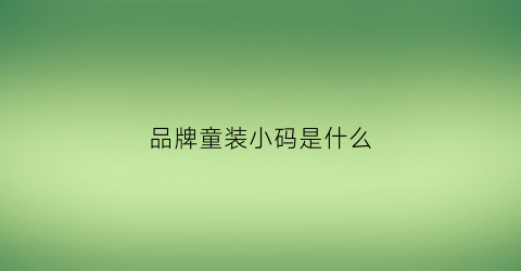 品牌童装小码是什么