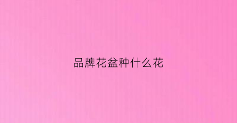 品牌花盆种什么花(盆栽牌子)