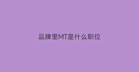 品牌里MT是什么职位