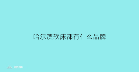 哈尔滨软床都有什么品牌