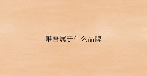唯吾属于什么品牌(惟吾pro质量)