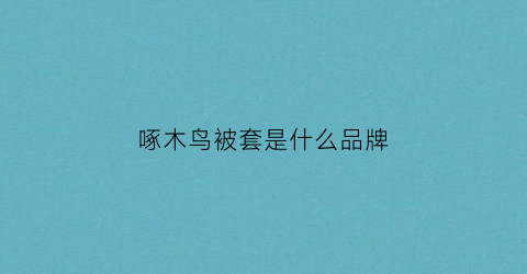 啄木鸟被套是什么品牌