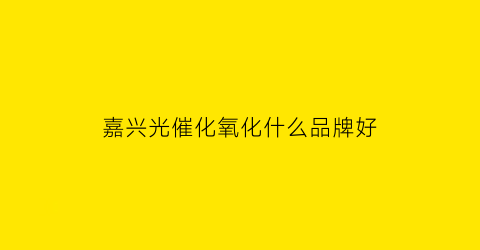 嘉兴光催化氧化什么品牌好