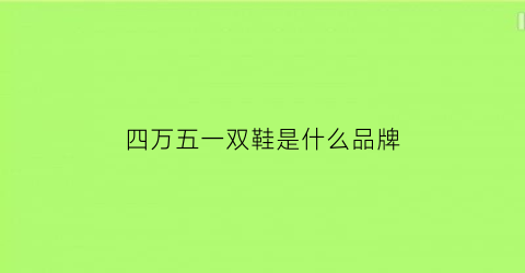 四万五一双鞋是什么品牌(四万的鞋)