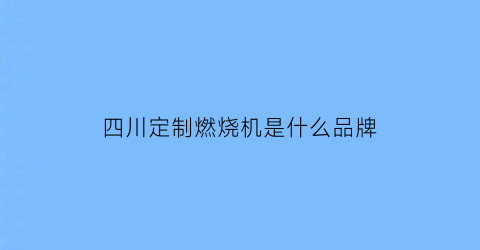 四川定制燃烧机是什么品牌(燃烧器定制)