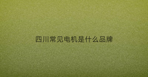 四川常见电机是什么品牌(四川发电机生产厂家有哪些)