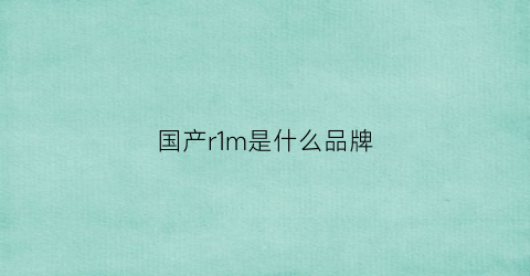 国产r1m是什么品牌(国产r1m是什么品牌手机)