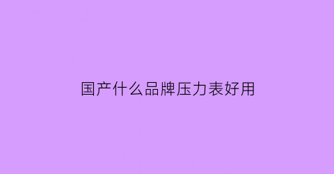 国产什么品牌压力表好用(压力表哪个厂家的质量好)