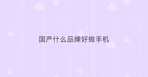 国产什么品牌好做手机(国产手机哪个牌子做工最好)