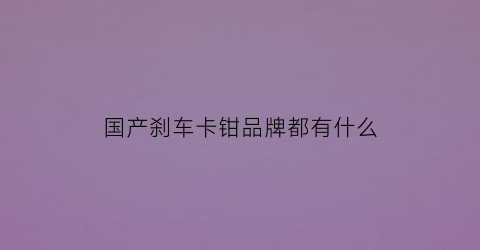 国产刹车卡钳品牌都有什么(国产汽车刹车卡钳)