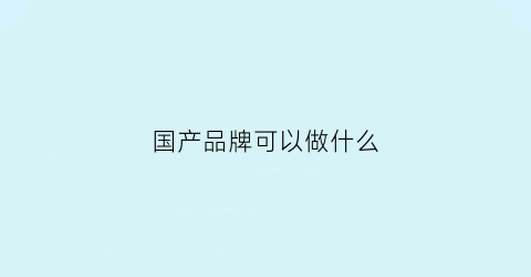 国产品牌可以做什么(国产品牌的出路)