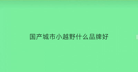 国产城市小越野什么品牌好(城市越野排行榜性价比)