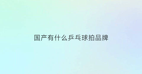 国产有什么乒乓球拍品牌(国产有什么乒乓球拍品牌好)