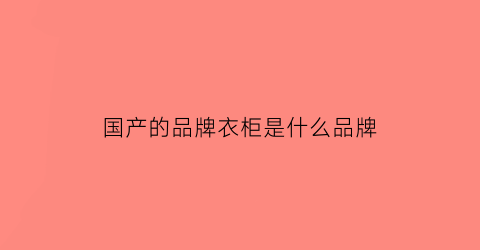 国产的品牌衣柜是什么品牌(国产定制衣柜)