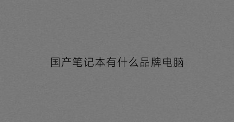国产笔记本有什么品牌电脑(国产笔记本的品牌排行榜)