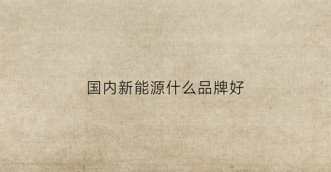 国内新能源什么品牌好(国内新能源什么品牌好点)