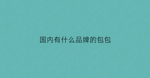 国内有什么品牌的包包(国内品牌包包有哪些牌子)