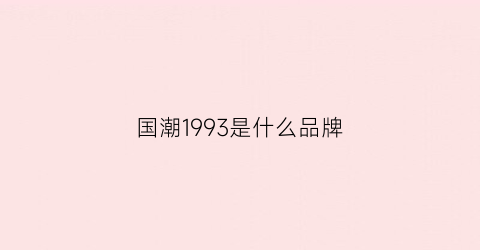 国潮1993是什么品牌(国潮33潮牌介绍)