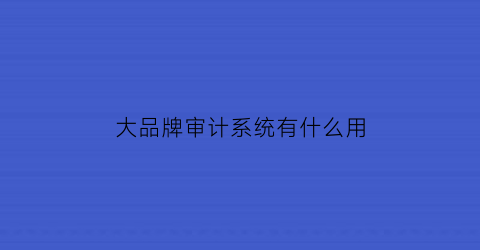 大品牌审计系统有什么用(十大审计软件排名)