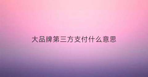 大品牌第三方支付什么意思(国内第三方支付产品)