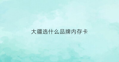 大疆选什么品牌内存卡(大疆选什么品牌内存卡好用)