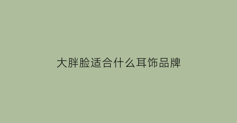 大胖脸适合什么耳饰品牌(大胖脸适合什么耳钉)