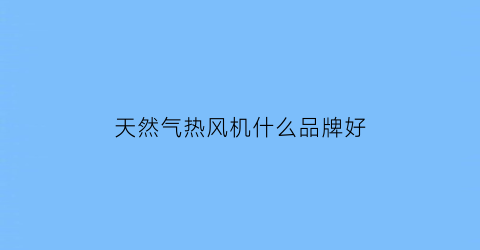 天然气热风机什么品牌好(天然气热风机什么品牌好用)