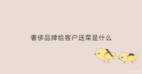 奢侈品牌给客户送菜是什么(送奢侈品送什么好)