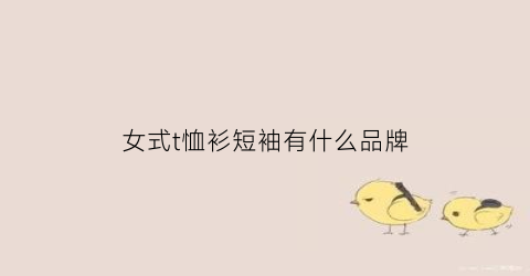 女式t恤衫短袖有什么品牌