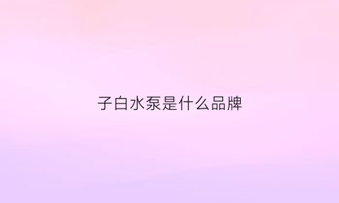 子白水泵是什么品牌