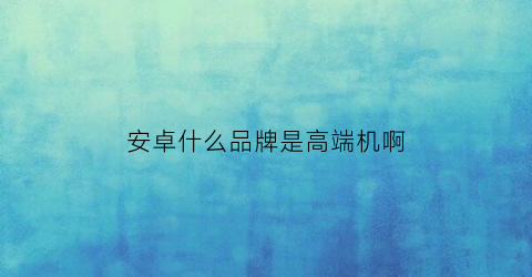 安卓什么品牌是高端机啊(安卓的高端机有哪些)