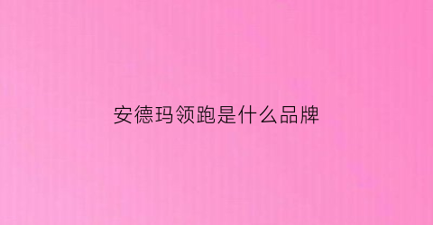 安德玛领跑是什么品牌(安德玛领跑是什么品牌的鞋)