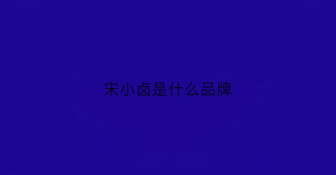 宋小卤是什么品牌(重庆宋小卤加盟要多少钱)