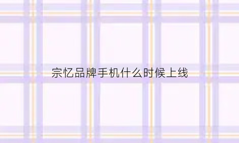 宗忆品牌手机什么时候上线(上海宗亿实业发展有限公司)