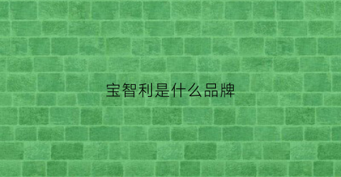 宝智利是什么品牌(德国智宝)