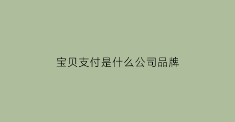 宝贝支付是什么公司品牌(宝贝支付是干什么的)