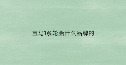 宝马1系轮胎什么品牌的(宝马1系轮胎型号)