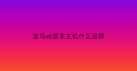 宝马x6原车主机什么品牌(老款宝马x6主机ccc)