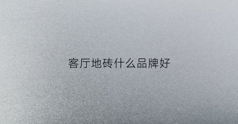 客厅地砖什么品牌好(客厅地砖什么品牌好用)