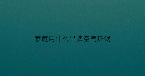 家庭用什么品牌空气炸锅(家用空气炸锅哪个品牌好)