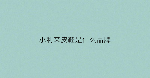 小利来皮鞋是什么品牌