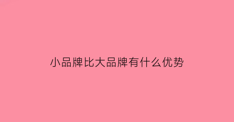 小品牌比大品牌有什么优势(小品牌和大品牌的不同之处)