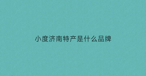 小度济南特产是什么品牌