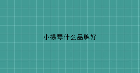 小提琴什么品牌好(小提琴什么品牌好一点)